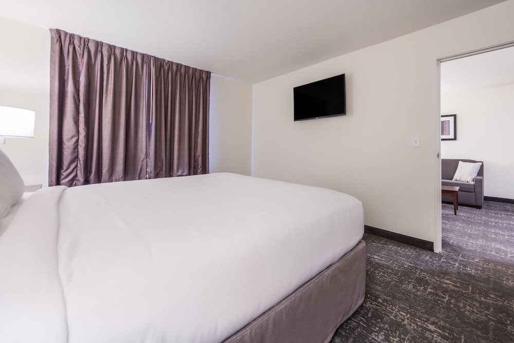Suite, 1 King Bed with Sofa bed, Accessible, Non Smoking (Audible/Visual Alert) - Photo 2