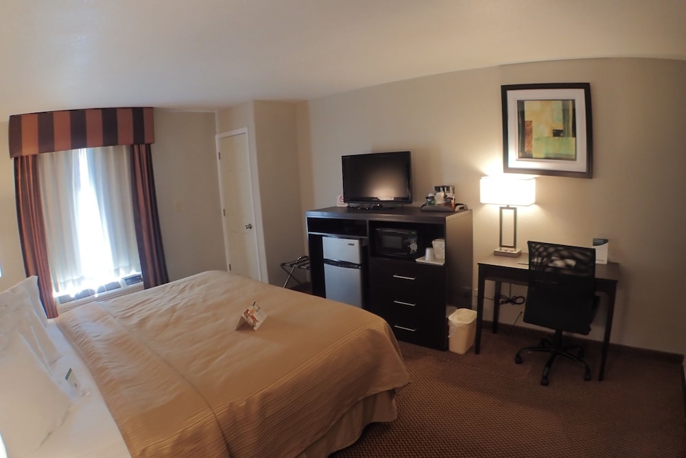 Standard Room, 1 King Bed, Non Smoking photo 2
