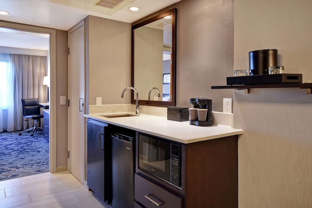 Suite, 1 King Bed, Accessible (Roll-In Shower) - Photo 5