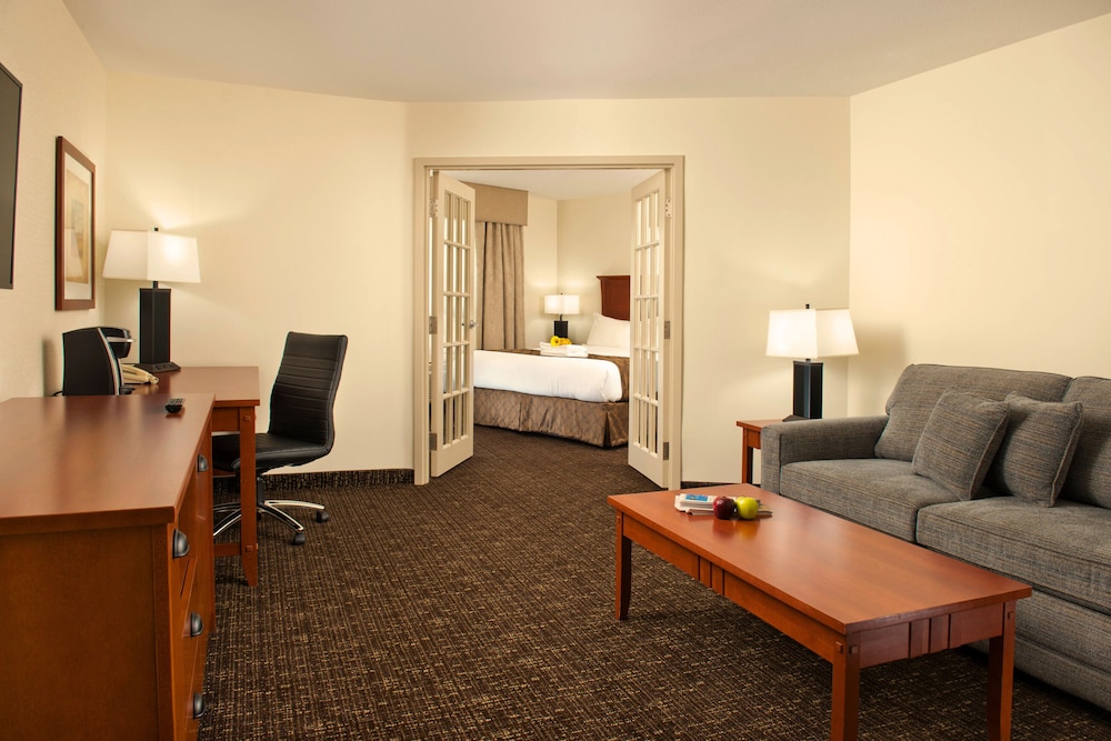 Room, 1 King Bed photo 1
