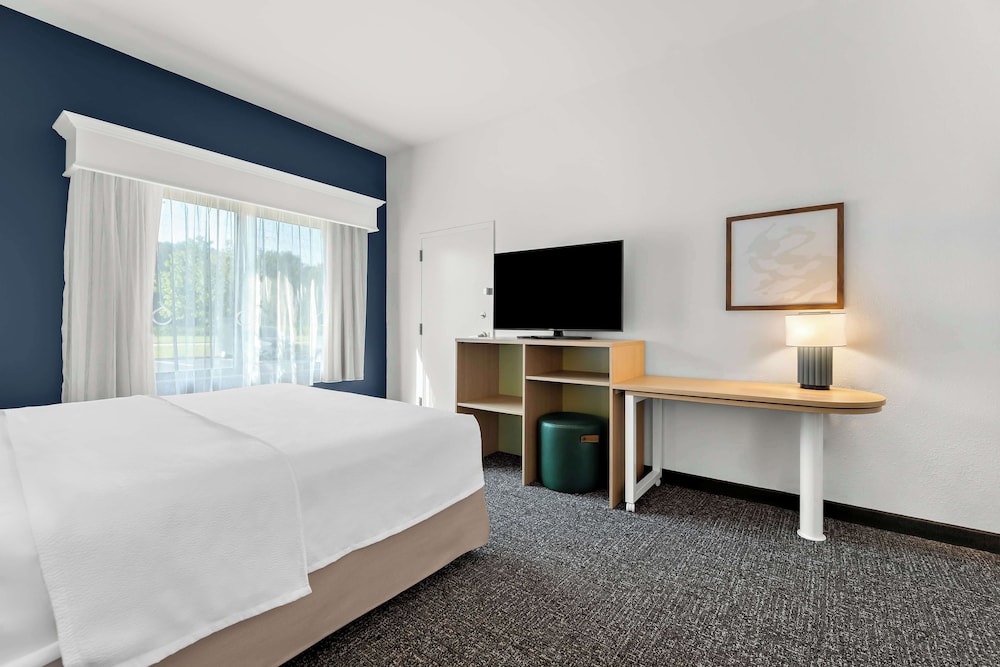 Room, 1 King Bed, Accessible (Mobility & Hearing, Roll-in Shower) - Photo 1