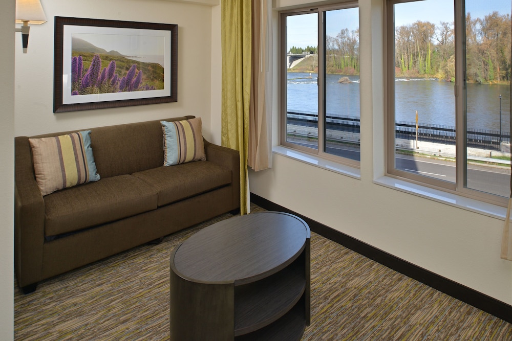 Studio Suite, 1 King Bed with Sofa bed, River View photo 2