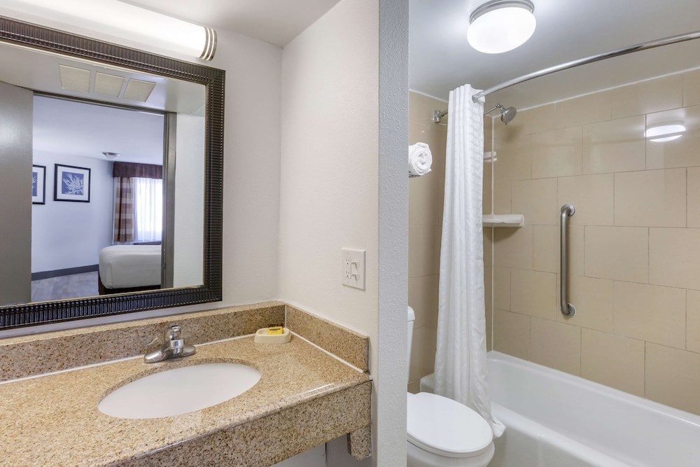 Standard Room, 1 King Bed, Non Smoking, Refrigerator & Microwave - Photo 4