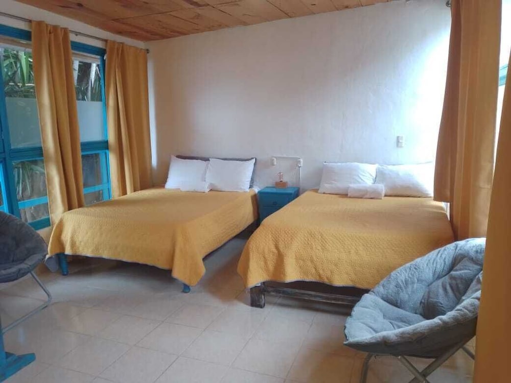 Family Single Room photo 1