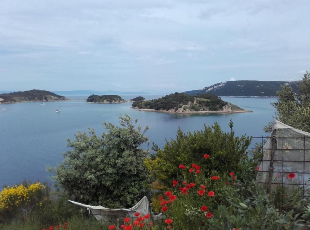 Apartment (Guest House Green Corner Supetarska D)