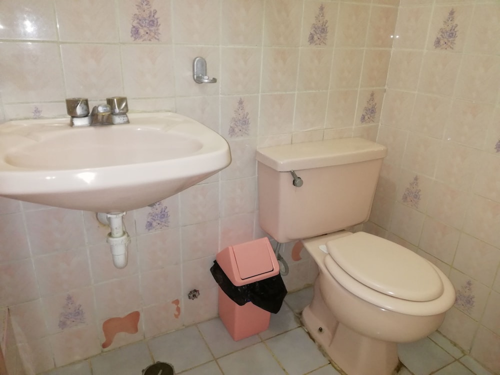 Twin Room photo 3
