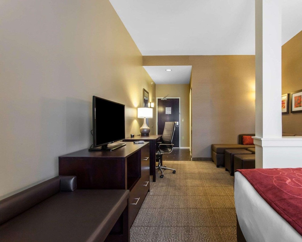 Comfort Suites-Youngstown North, Billede 13