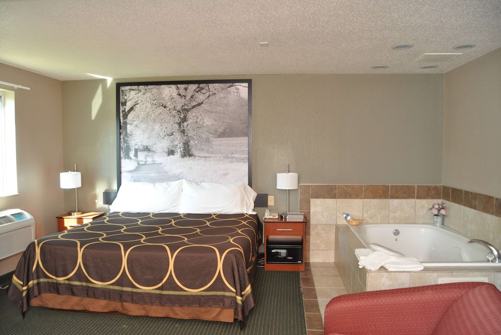 Premier Studio Suite, 1 King Bed, Non Smoking (Pet-Friendly) - Photo 1