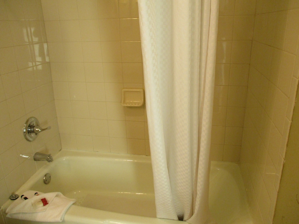 Room, 1 Queen Bed, Refrigerator & Microwave photo 3