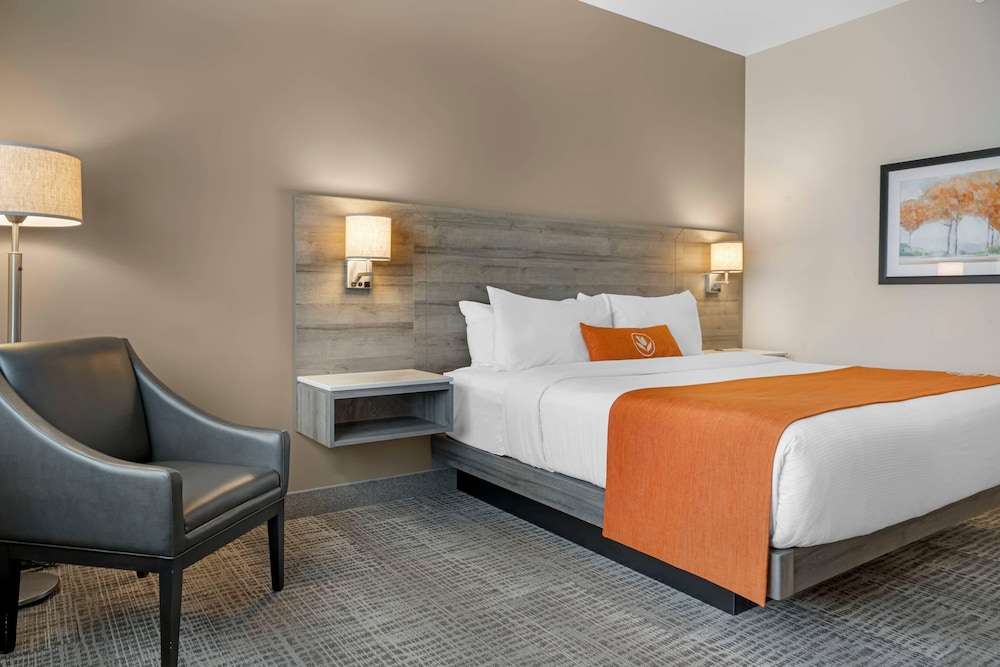 Room, 1 King Bed, Accessible, Non Smoking photo 2