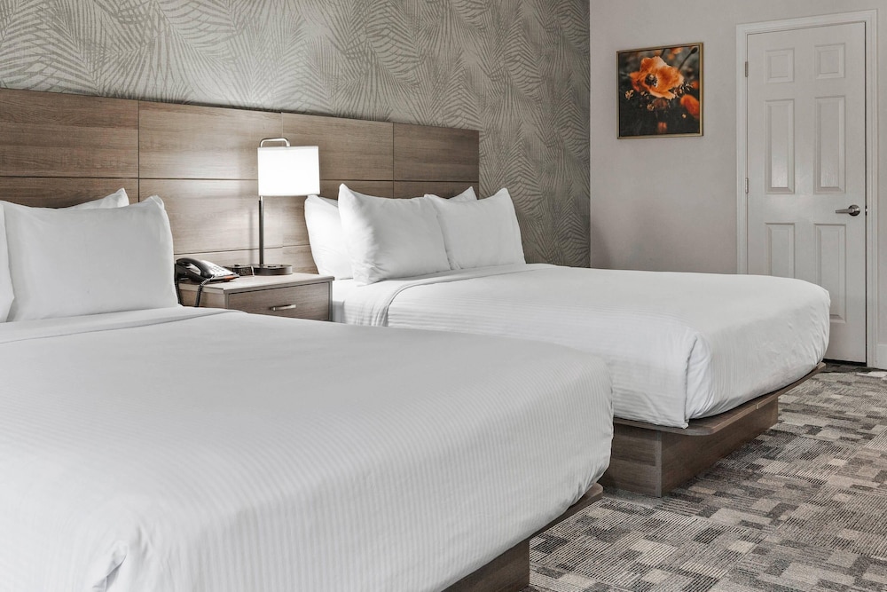 Suite, Multiple Beds, Non Smoking - Photo 1