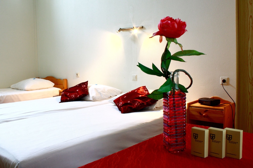 Double Room, 2 Twin Beds photo 3