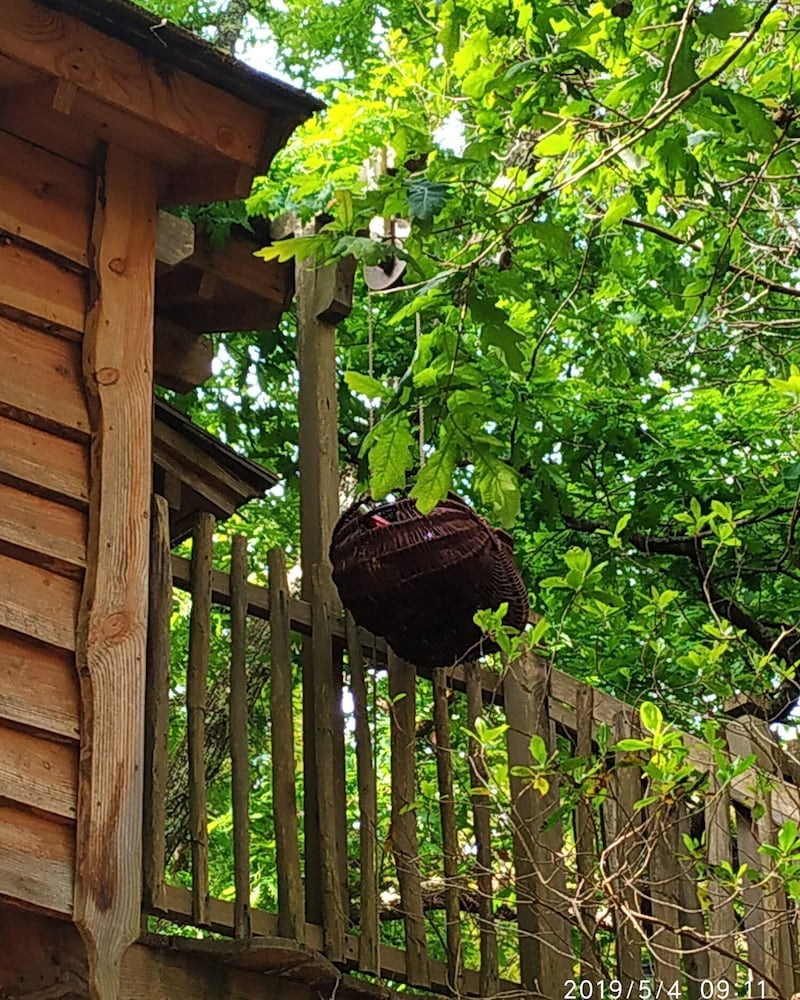 Deluxe Cabin, Ensuite (Cabane) - Photo 3