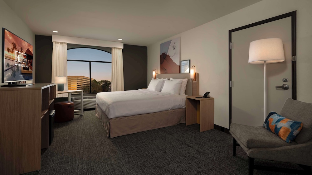 Room, 1 King Bed, Accessible (3x3 Shower) - Photo 1