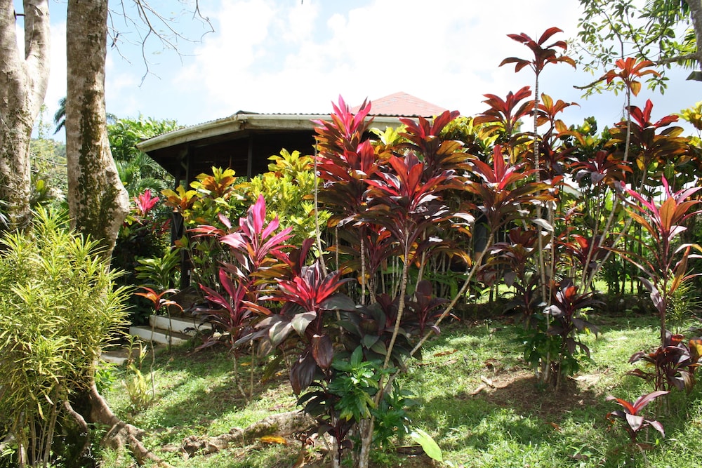 Nature Bungalow Room with fan photo 3