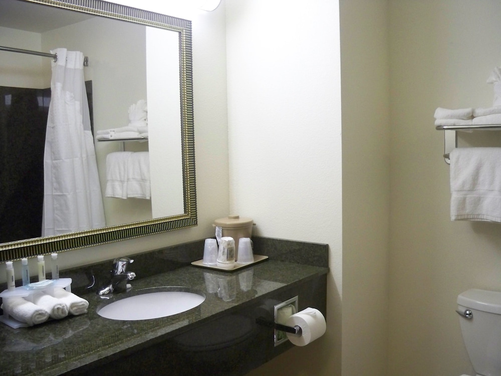 Standard Room, 1 King Bed, Accessible (Mobility, Roll-In Shower) - Photo 3