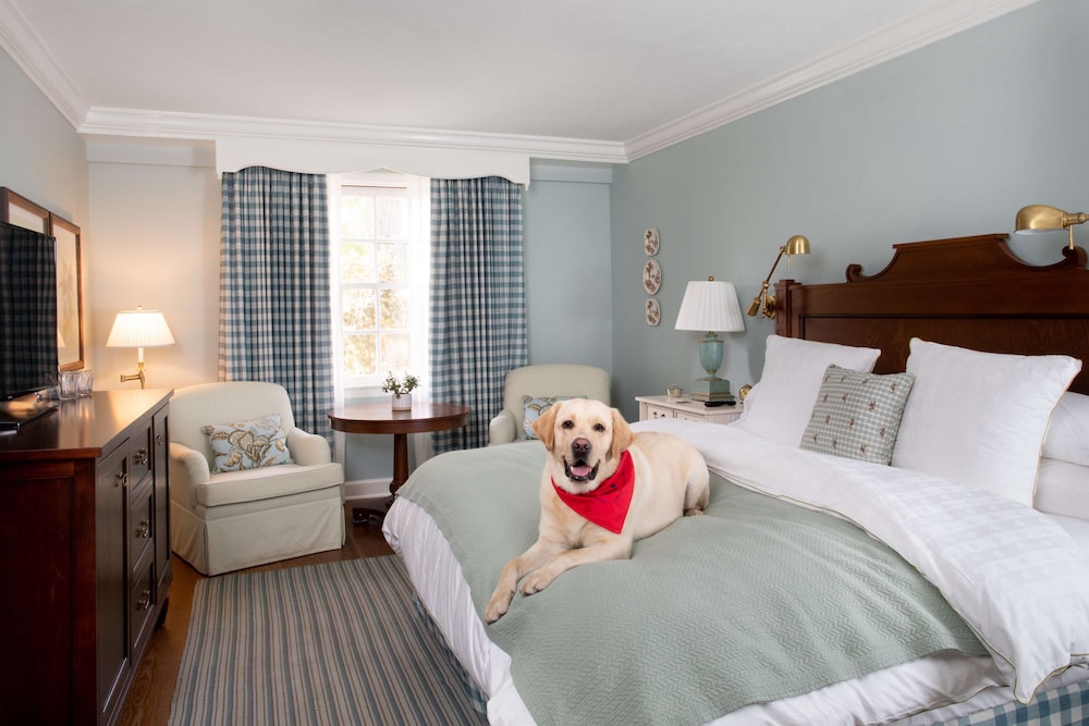 Room, 1 King Bed (Garden - DOG FRIENDLY)