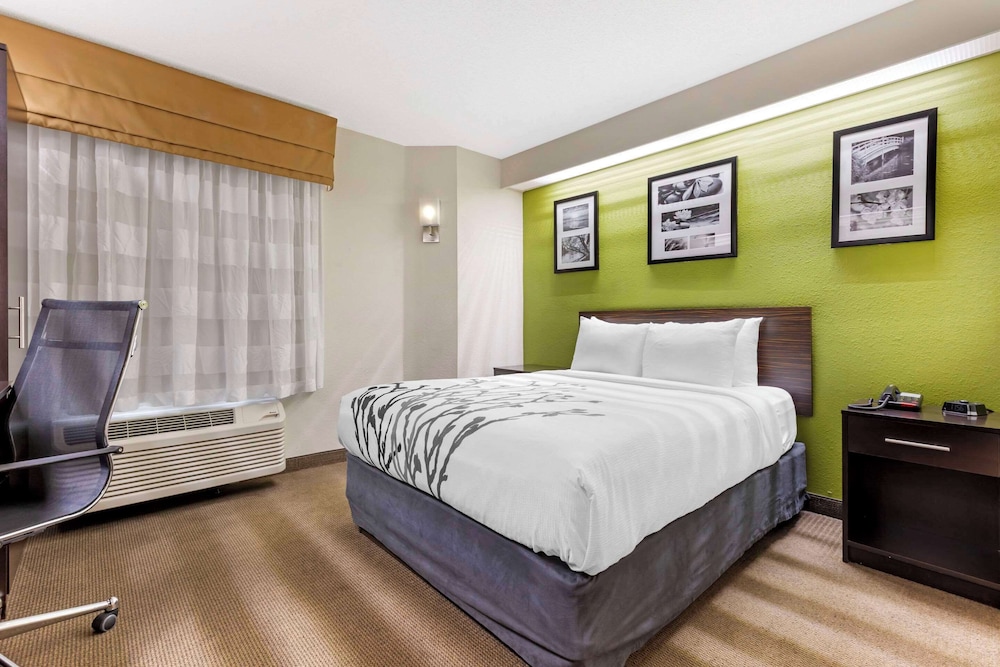 Room, 1 Queen Bed, Accessible, Non Smoking (Mobility, Roll-In Shower) - Photo 1