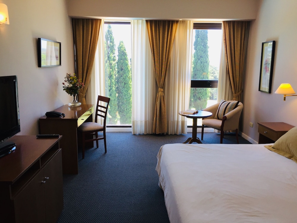 Standard Double Room, 1 King Bed