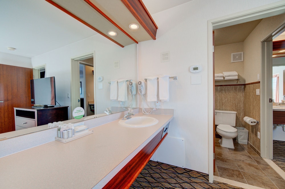 Suite, 1 King Bed - Photo 16