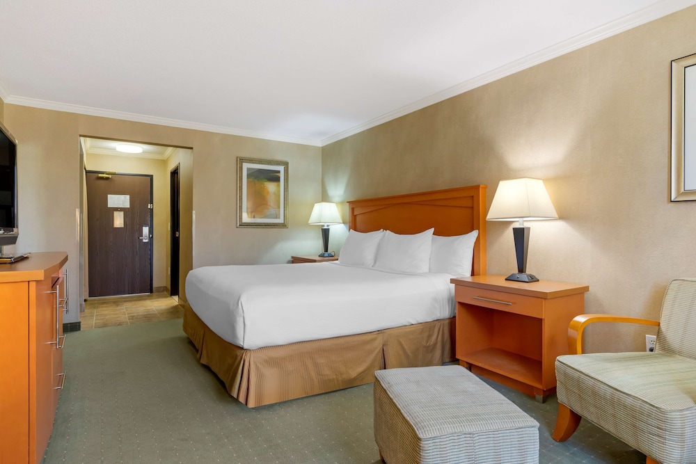 Standard Room, 1 King Bed, Non Smoking, Refrigerator & Microwave photo 1