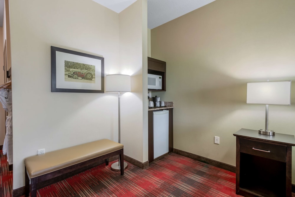 Suite, Multiple Beds, Non Smoking, Refrigerator & Microwave (with Sofabed) - Photo 1