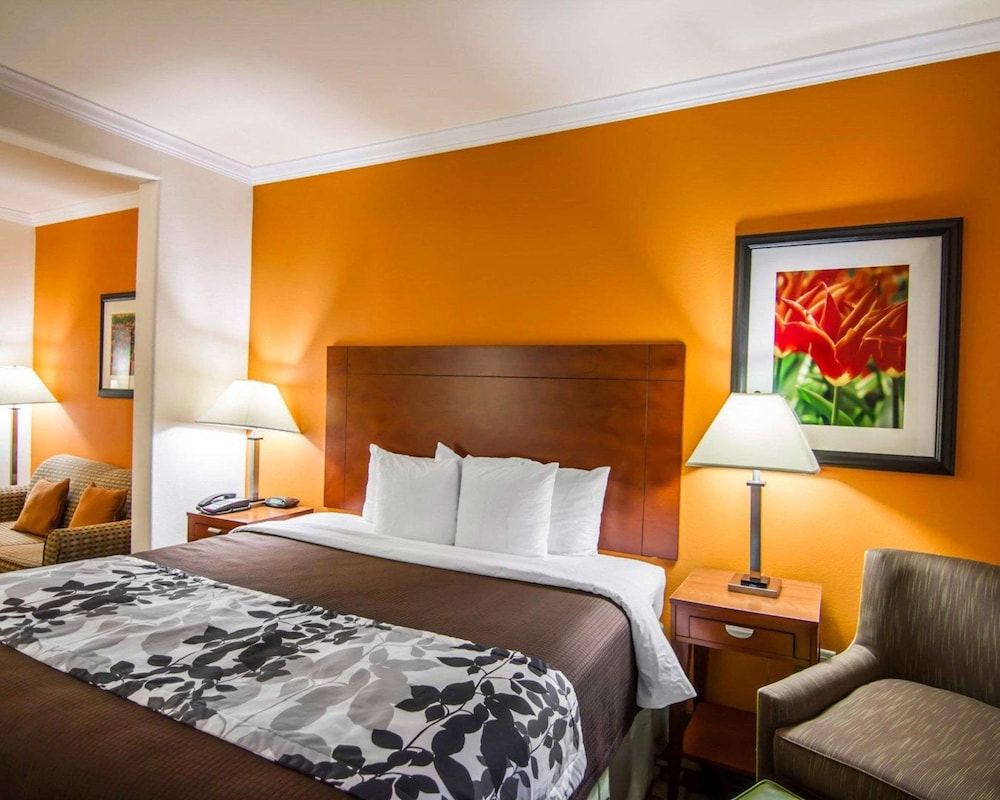 Suite, 1 King Bed with Sofa bed, Non Smoking - Photo 3