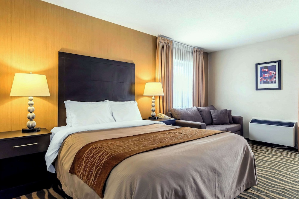 Standard Room, 1 King Bed with Sofa bed, Non Smoking (Dog Friendly) - Photo 1