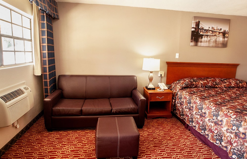 Basic Studio Suite photo 3