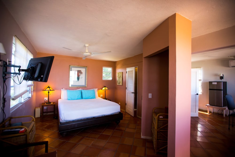Deluxe Suite, 1 King Bed - Photo 1
