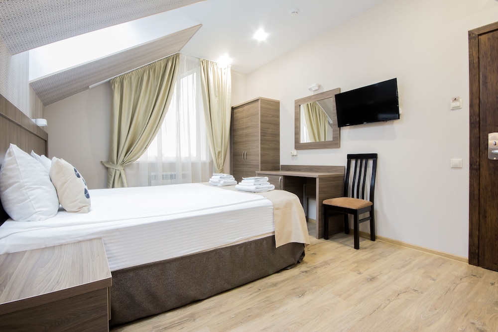 Deluxe Double or Twin Room photo 2