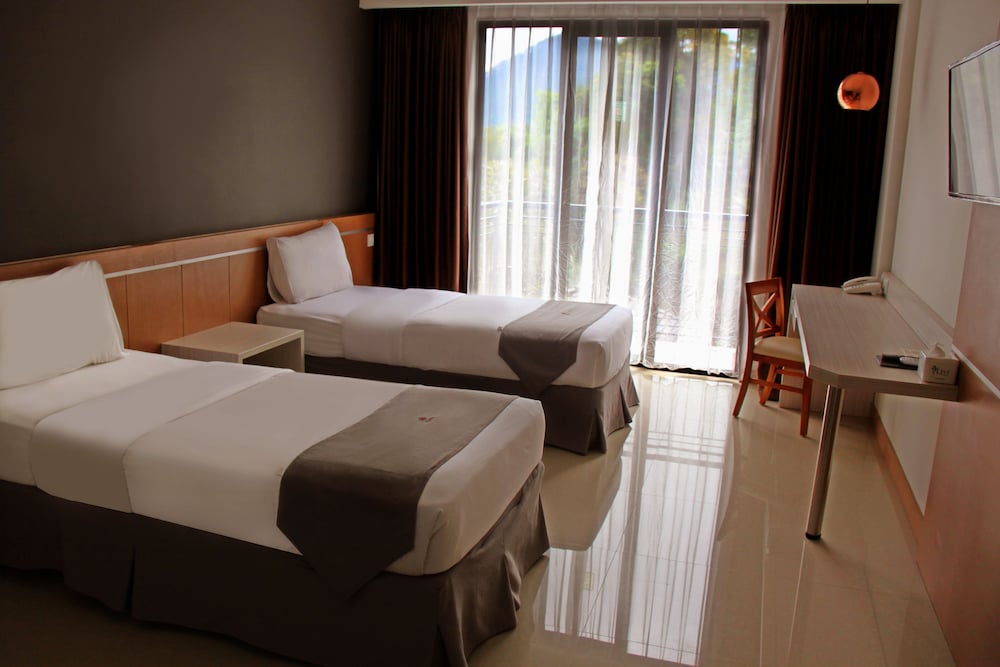 Deluxe Double or Twin Room photo 2