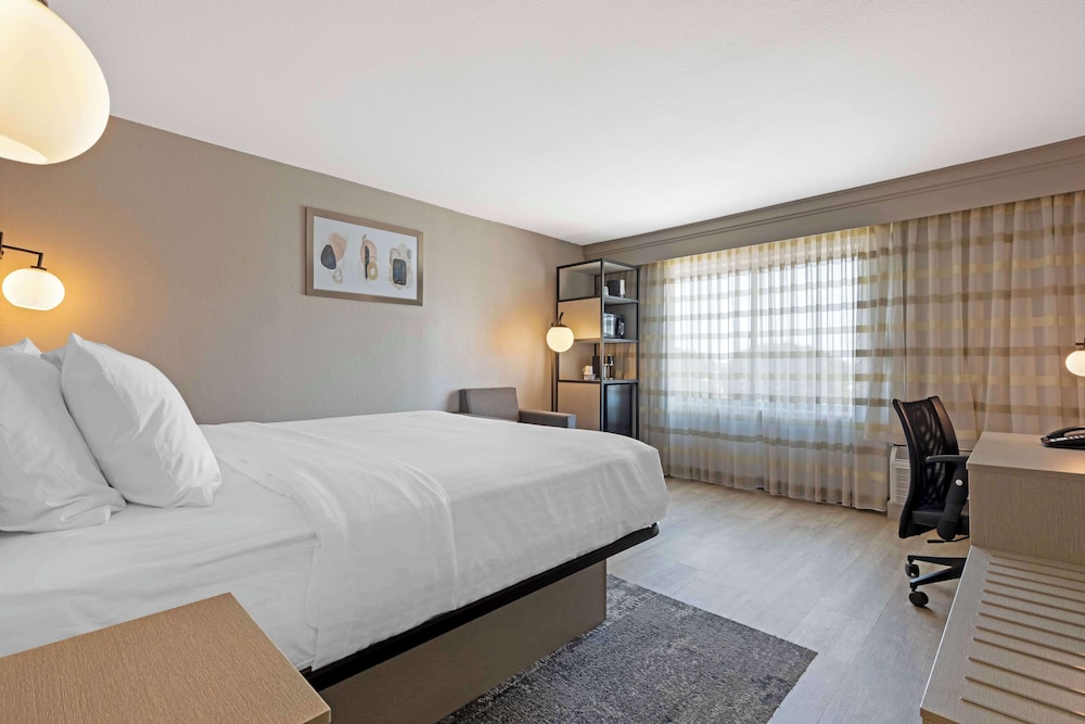 Standard Room, 1 King Bed, Non Smoking, Refrigerator & Microwave photo 1