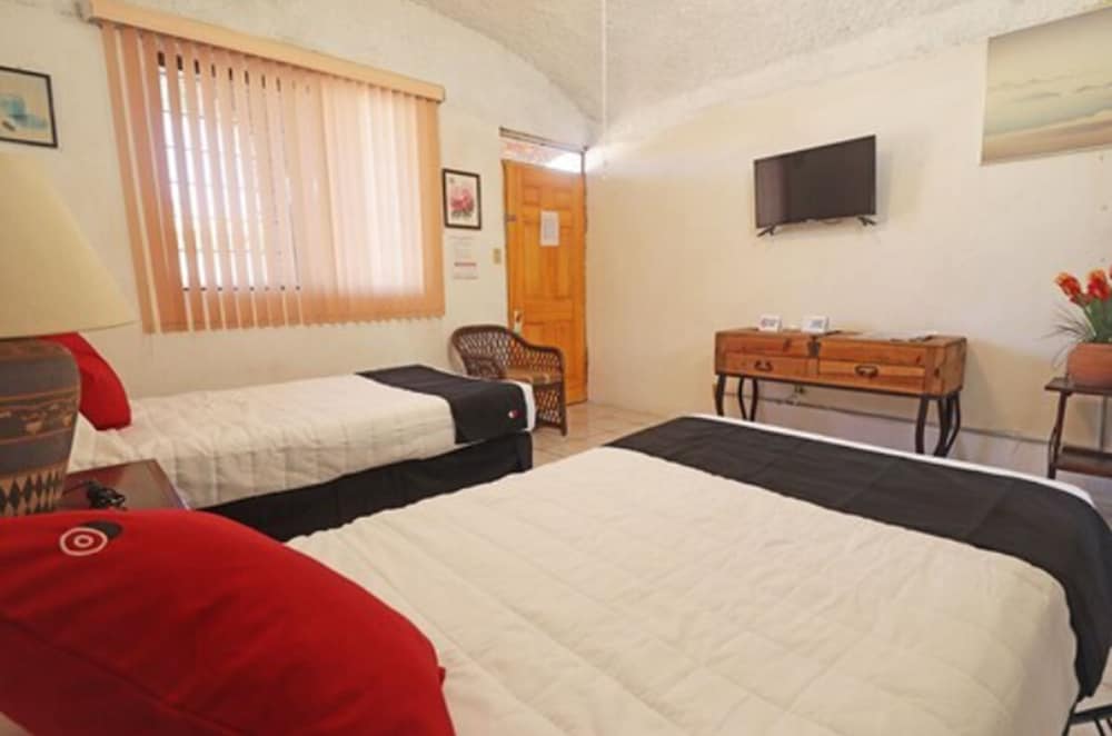 Twin Room photo 2