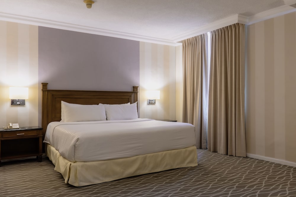 Executive Room, 1 King Bed photo 2