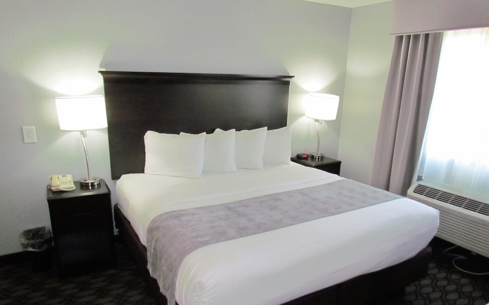 Basic Room, 1 King Bed, Non Smoking, Refrigerator & Microwave photo 2