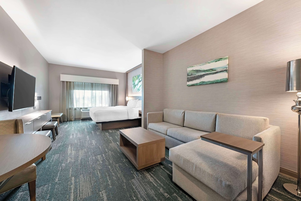 Suite, 1 King Bed, Non Smoking (with Sofabed) - Photo 6