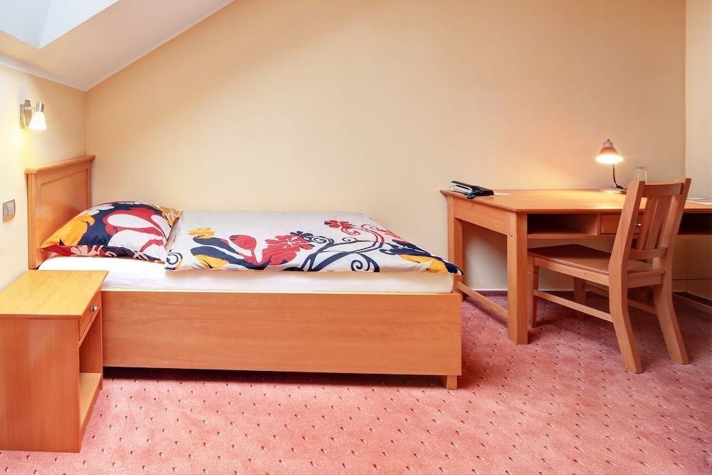 Superior Single Room photo 1