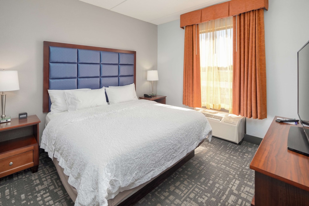 Suite, 1 King Bed, Accessible (3x3 Shower) - Photo 2