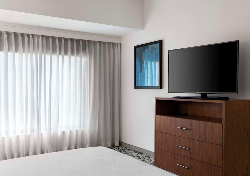 Suite, 1 King Bed, Accessible (Roll-in Shower)