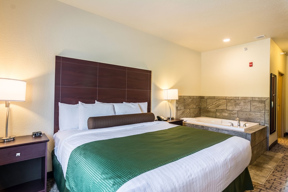 Suite, 1 King Bed, Non Smoking photo 1