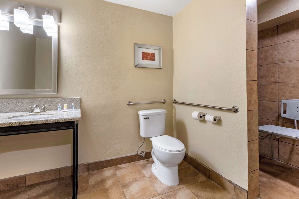 Suite, 1 King Bed with Sofabed, Accessible Roll-In Shower, Non Smoking - Photo 6