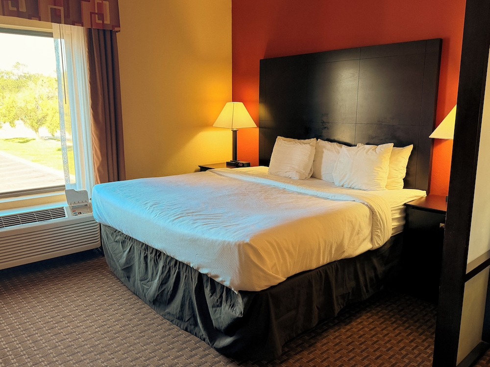 Standard Suite, 1 King Bed, Non Smoking photo 1