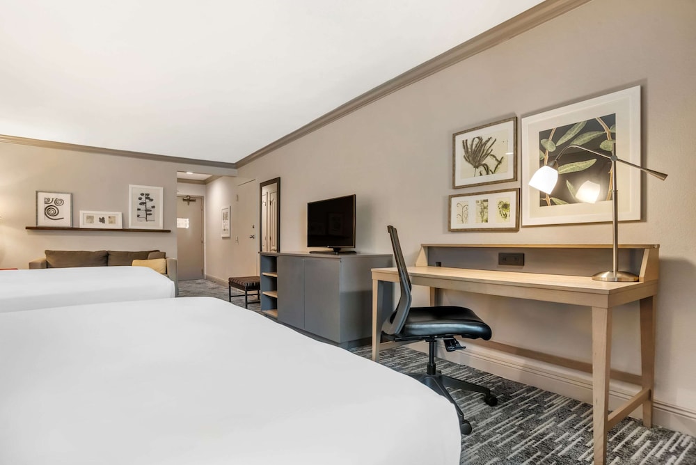 Studio Suite, Multiple Beds, Non Smoking photo 3