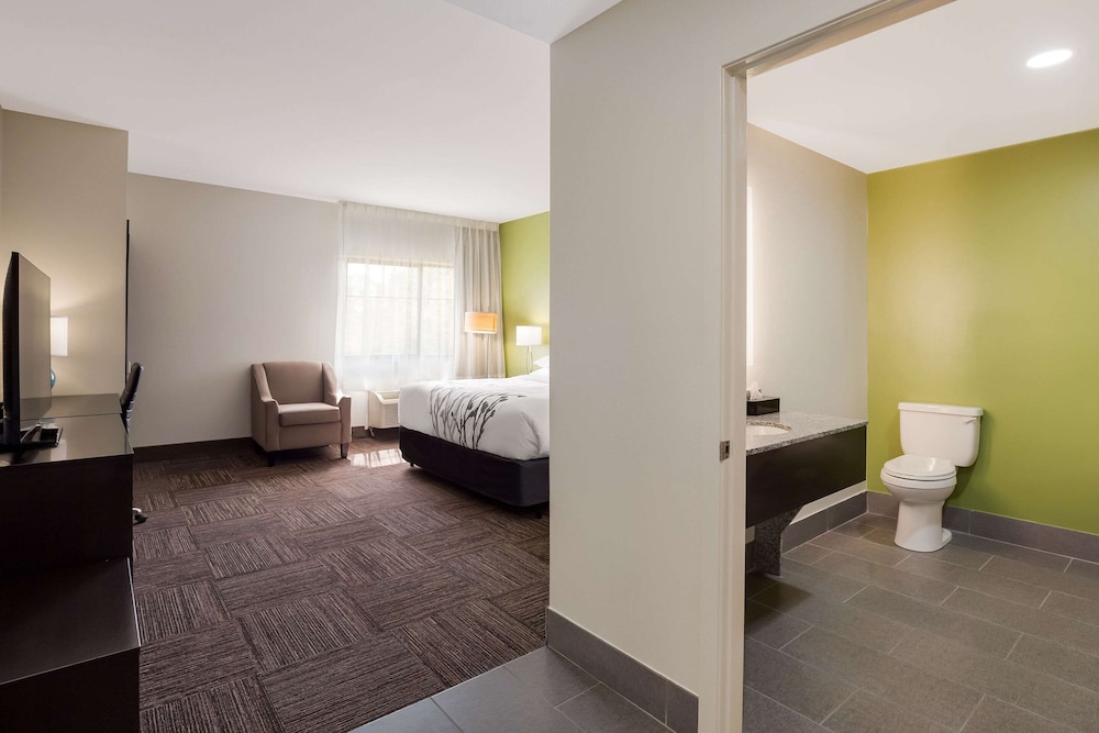 Room, 1 King Bed, Non Smoking - Photo 1