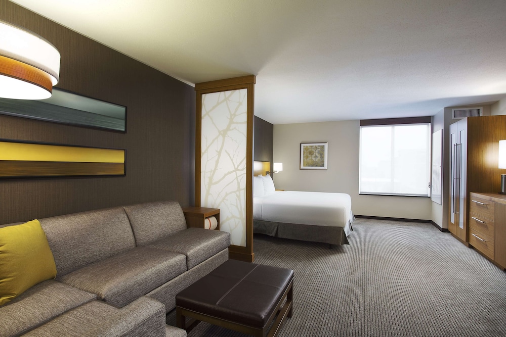 Room, 1 King Bed