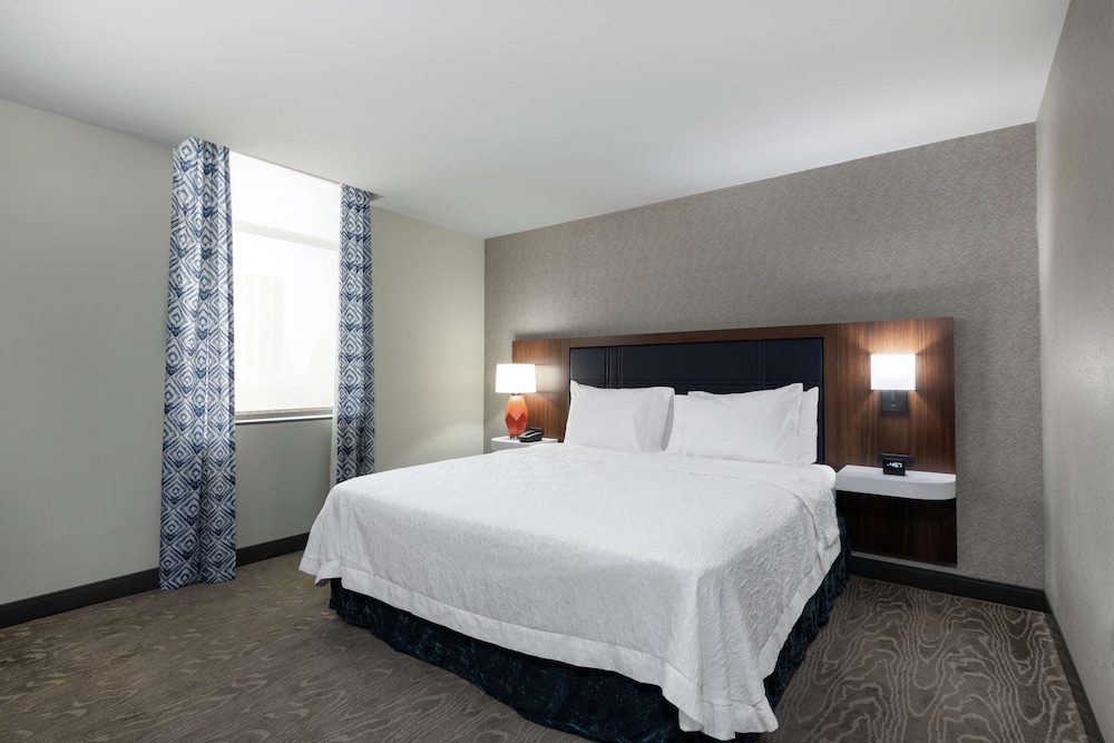 Suite, 1 King Bed, Accessible, Bathtub (Mobility & Hearing) - Photo 1