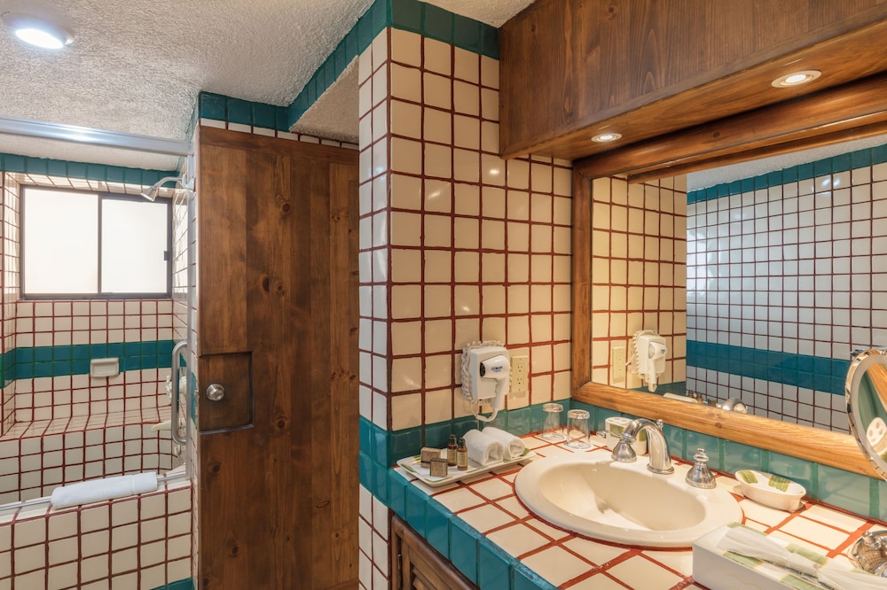 Studio, 1 King Bed With Sofa Bed