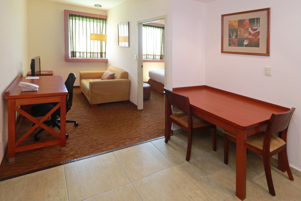 Studio Suite, 1 King Bed, Accessible, Kitchen - Photo 5