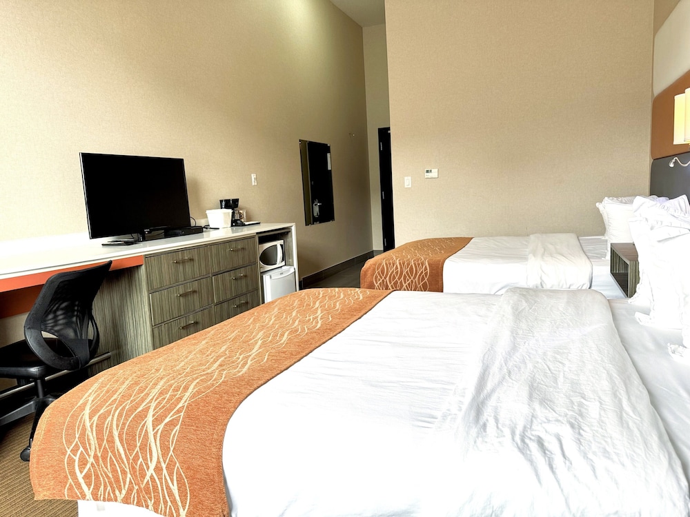 Standard Room, 2 Queen Beds, Microwave photo 3